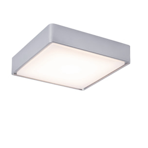 LEDS C4 Plafon ip66 kossel direct 220mm led 6.5w 3000k gris 419lm