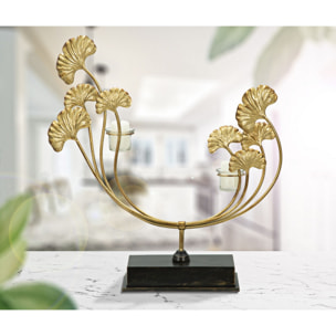 P/CAND GLAM IRIS CM 50X12X55