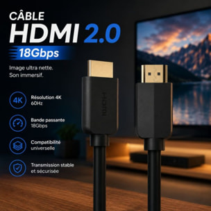 Câble HDMI ESSENTIELB 2.0/18Gbps 3M Noir