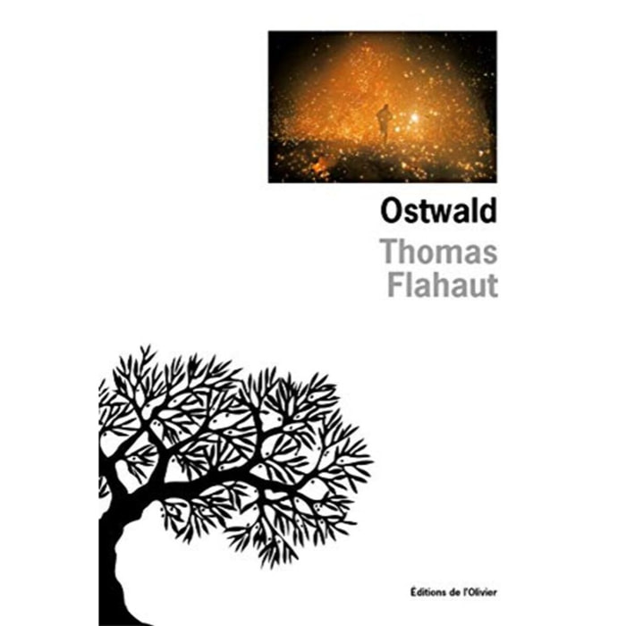 Flahaut, Thomas | Ostwald | Livre d'occasion
