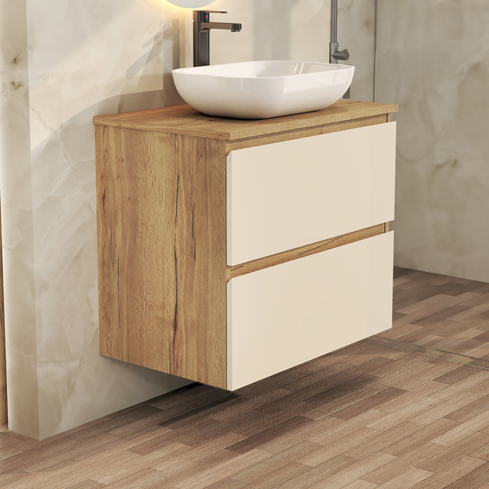 ENSEMBLE DE SALLE DE BAIN NIA | MEUBLE SUSPENDU | 70 CM GLACIER | DEUX TIROIRS |LAVABO SUR PLAN | MIROIR NON INCLUS | MEUBLE MONTÉ | ALDAY