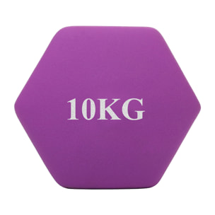 Neo Dumbbell 1 Pair Kg 10