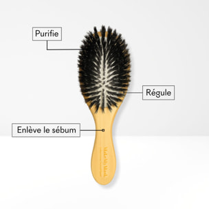 Brosse Thérapeutique - Brosse Détox