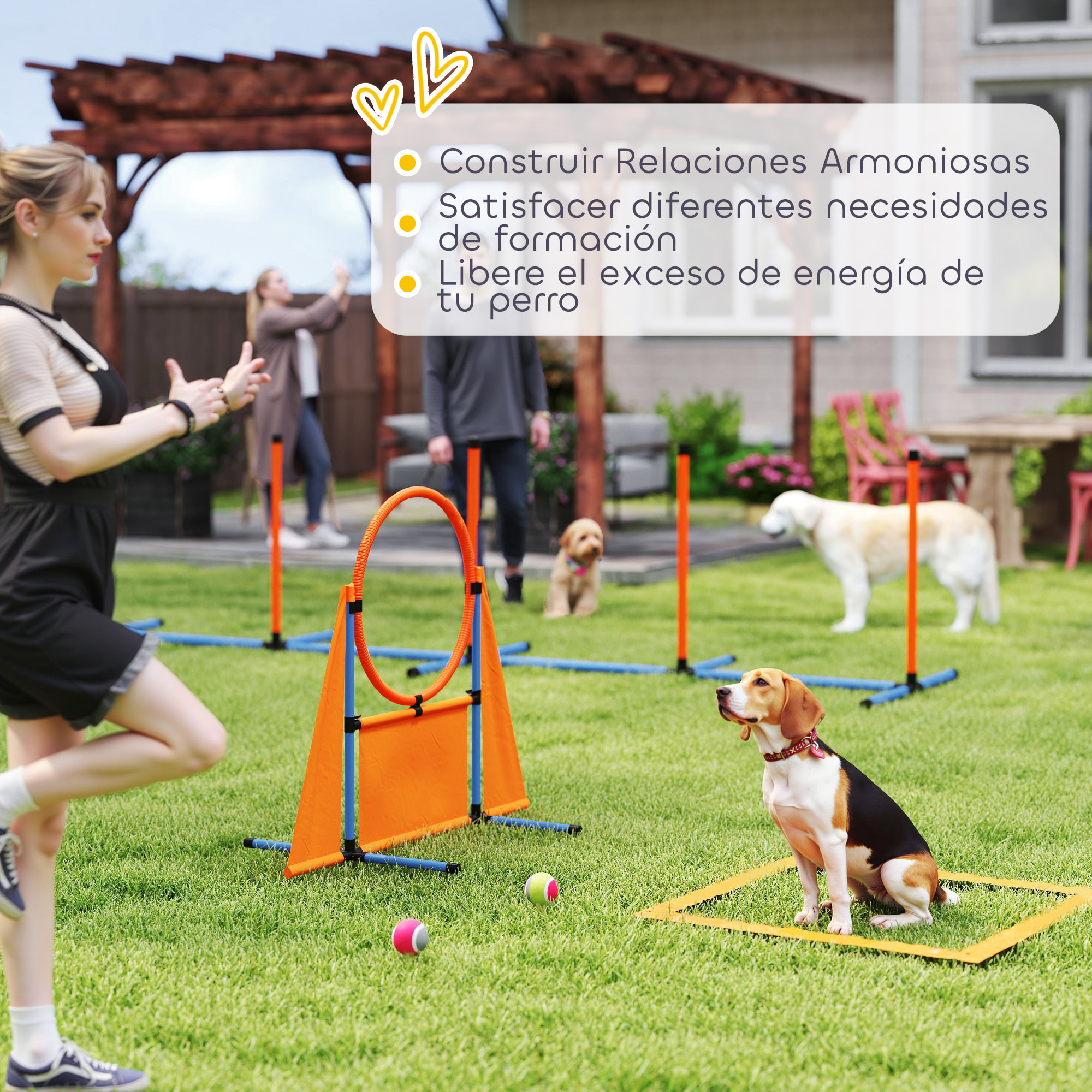 Set de Entrenamiento de Agilidad para Perros de 6 Piezas Juego de Agilidad para Perros con Piquetes para Slalom Zona de Reposo Valla Anillo de Salto y Pelotas Naranja