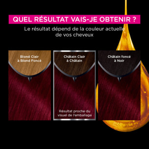 Garnier Olia Coloration 4.62 Carmin Velours