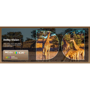 Vidéoprojecteur home cinéma JMGO O2S