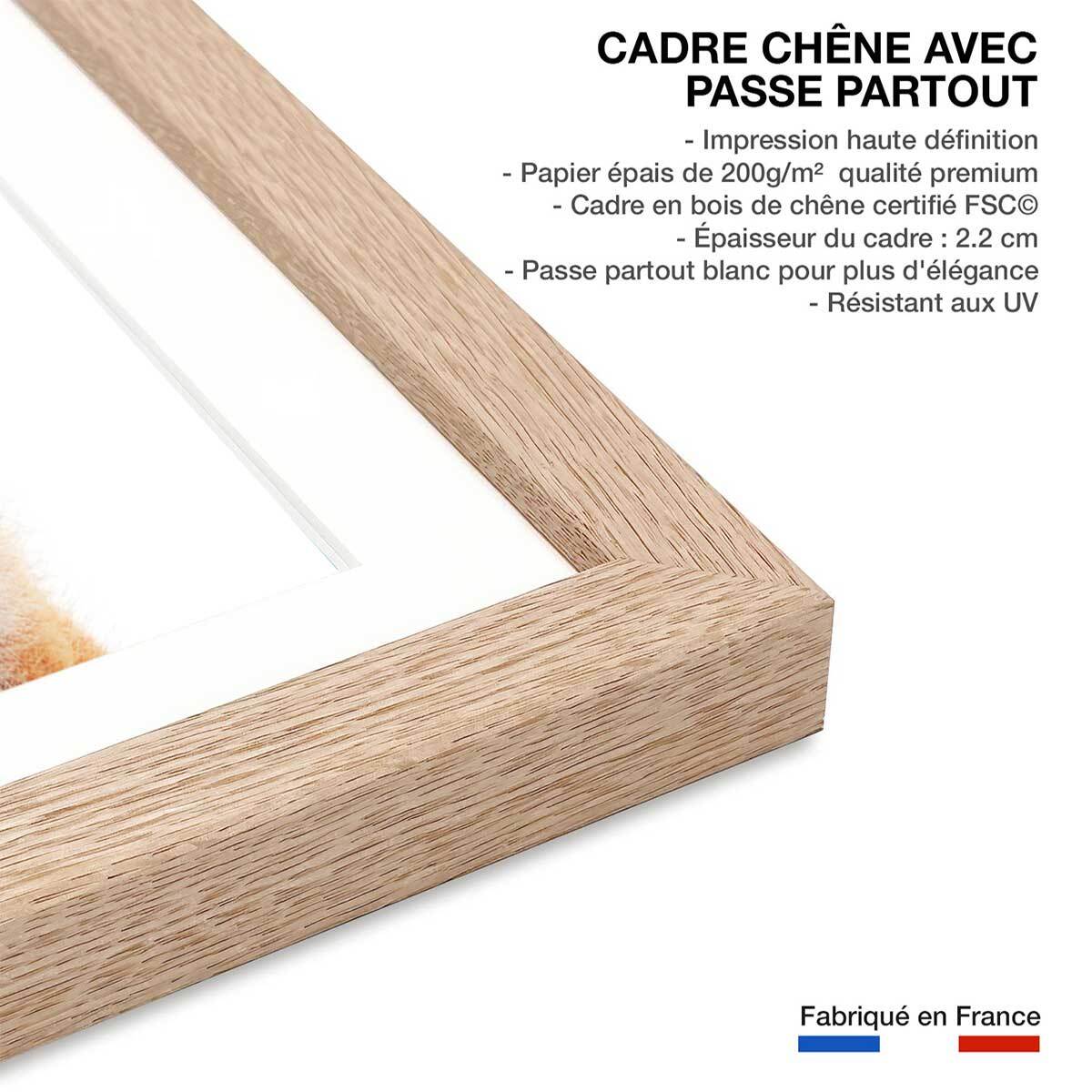 Affiche enfant bébé fox  Affiche + cadre en bois - Chêne