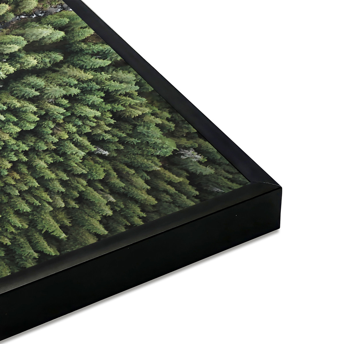 Affiche encadrée forêt vue du ciel Affiche + cadre en métal - Noir