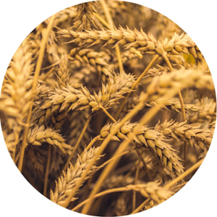 Lozione Shine & Liss 200 Ml.