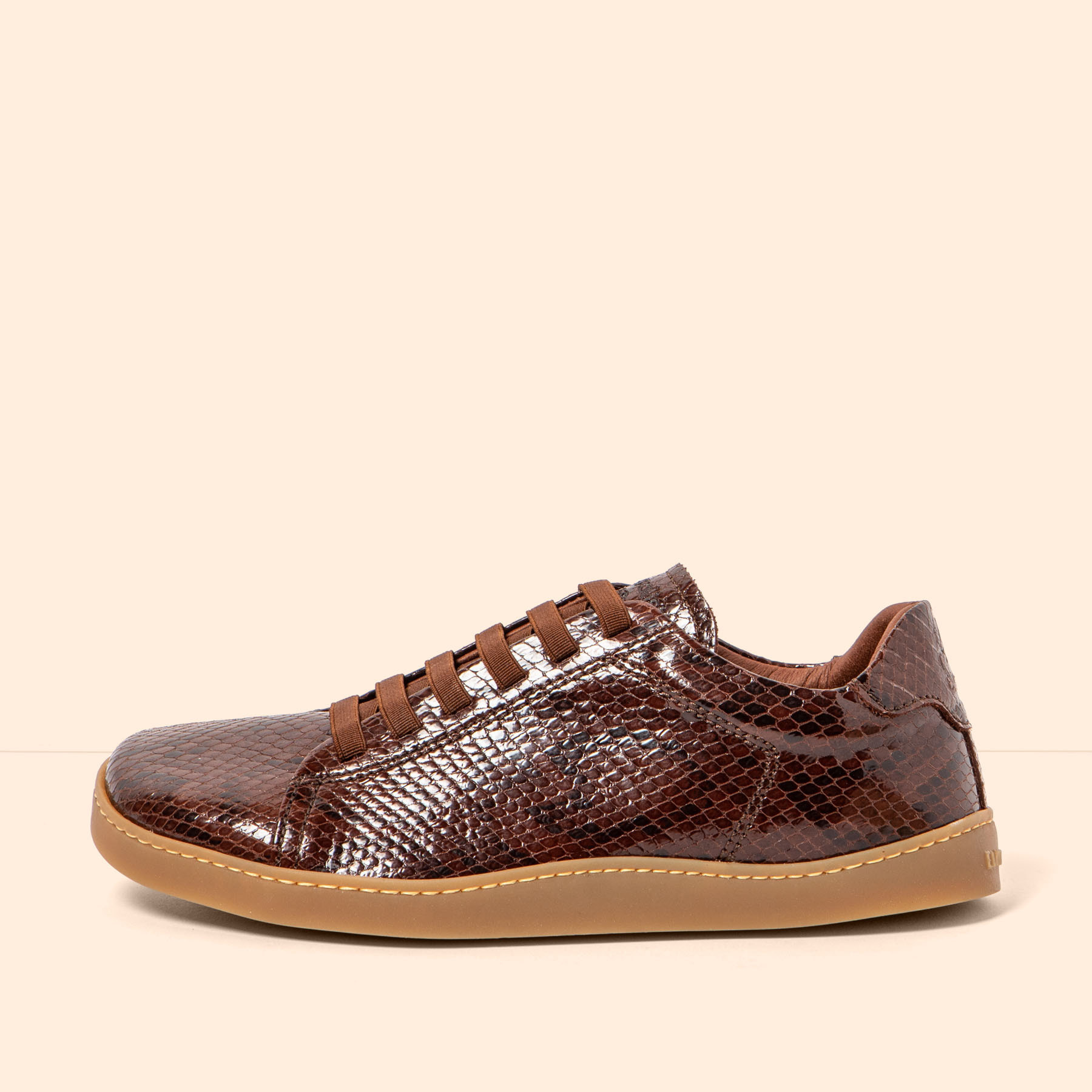 Zapatos N5910 SNAKE CHOCOLATE / ORIGEN color Chocolate
