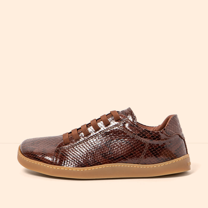 Zapatos N5910 SNAKE CHOCOLATE / ORIGEN color Chocolate