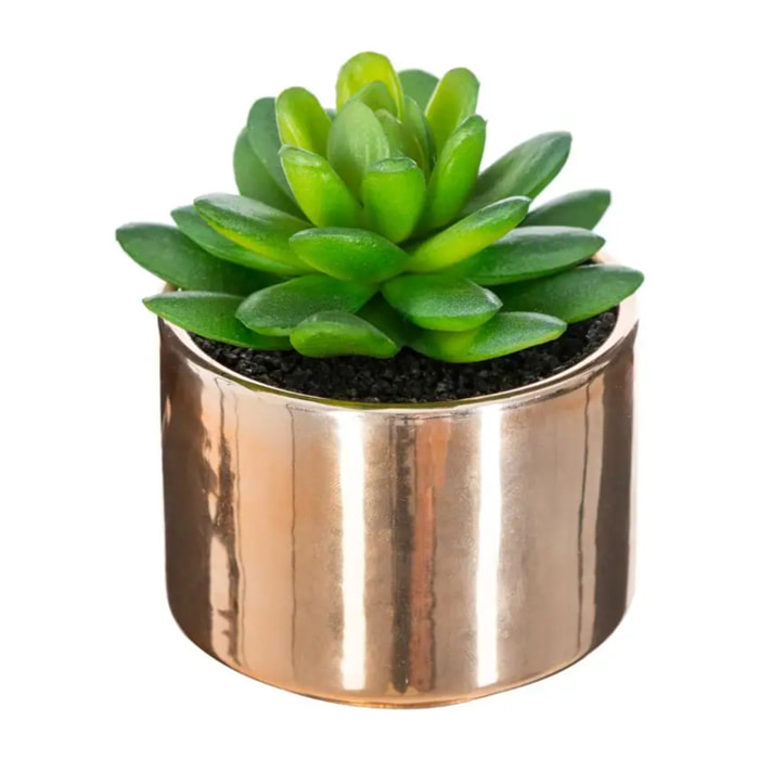 Plante verte pot céramique H.15