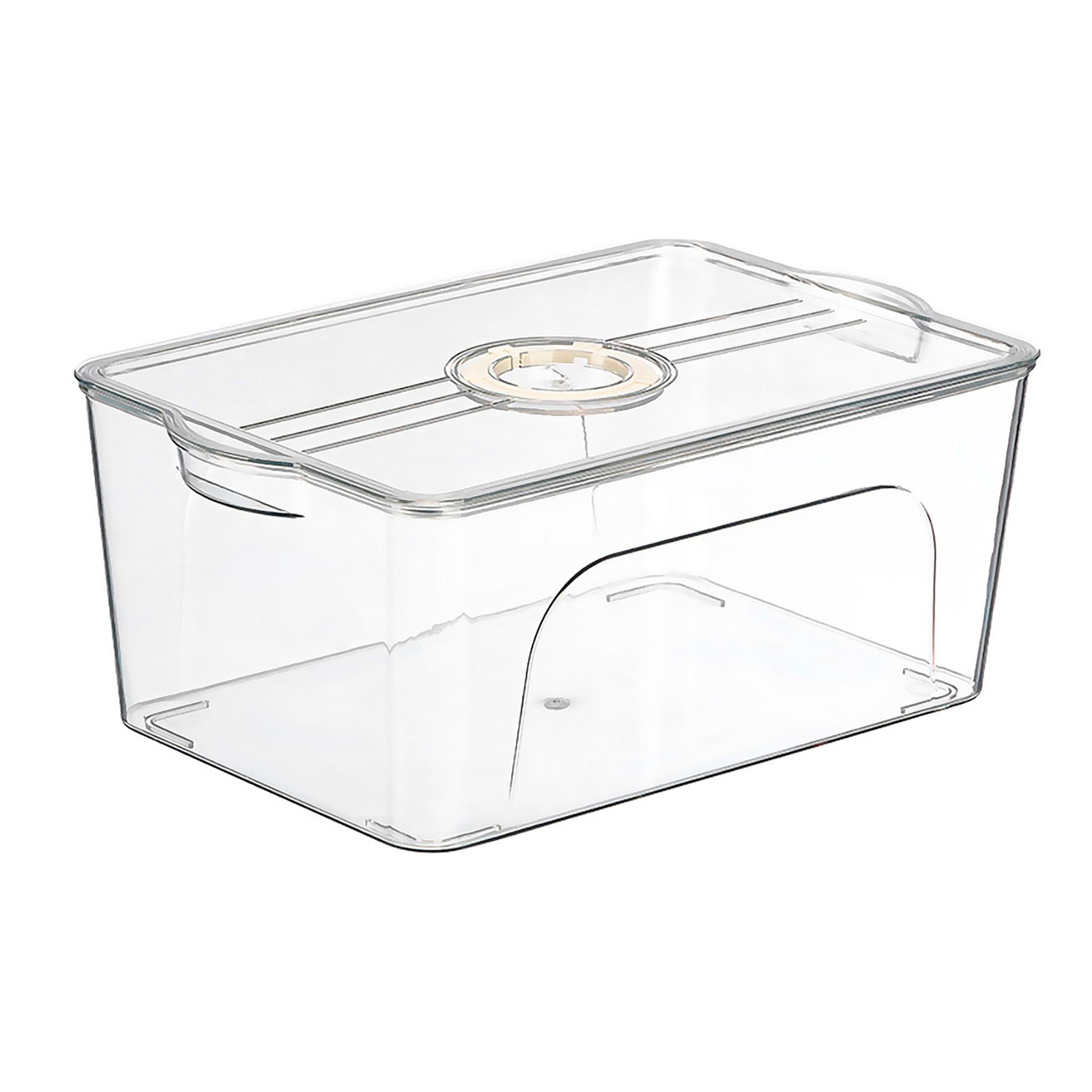 Organizador transparente para nevera con tapa jumbo aro blanco con fecha.