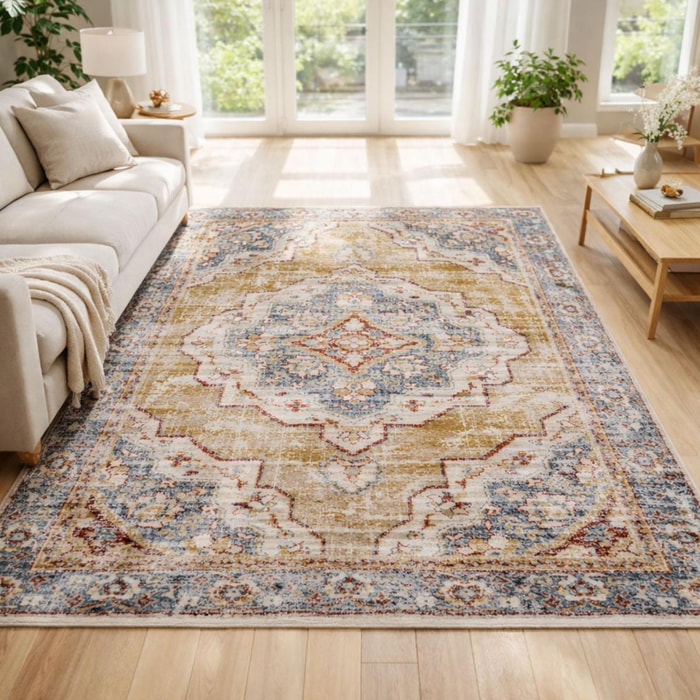 Tapis salon Rectangulaire Oriental