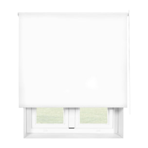 Store enrouleur Polyester Translucide 100x250