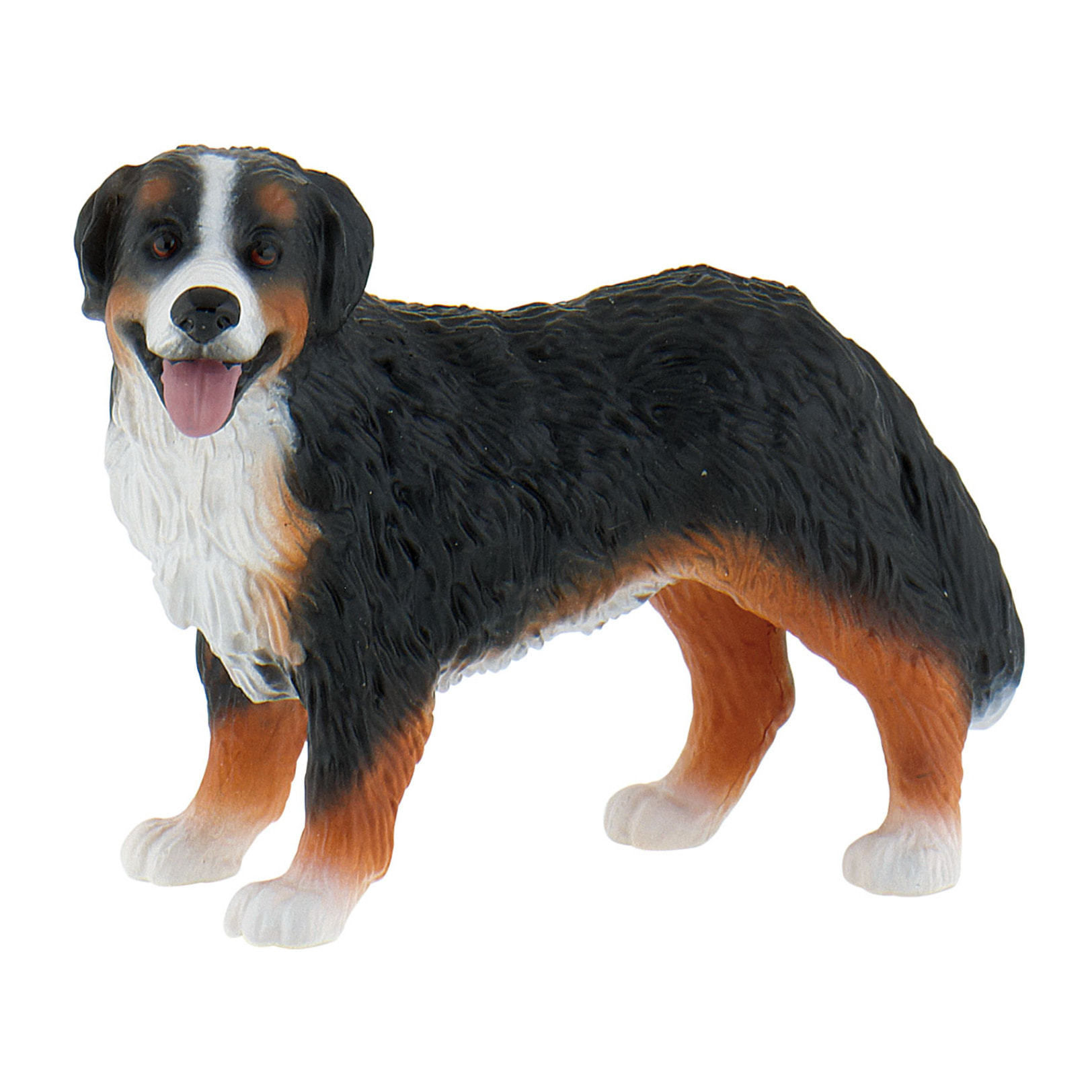 Animali di Casa/Cucciolo di Bovaro del Bernese