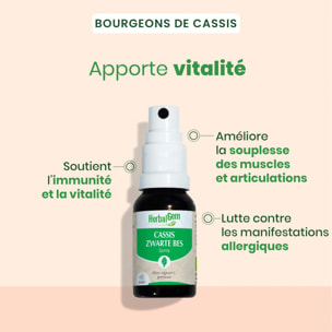 Herbalgem- Bourgeon de Cassis - format spray - Bio - 15 ml