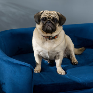 Sofá para Perros Pequeños, Cama para Perros Elevada con Patas de Madera, Cojín Desmontable y Funda Lavable, Carga 10 kg, 86x55x33 cm, Azul