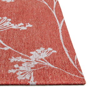 Tapis Inflorescence