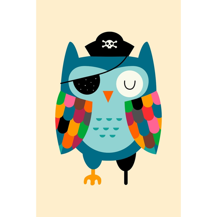 Tableau capitaine hibou Toile imprimée