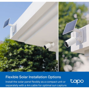 Caméra de surveillance TP-LINK Tapo C410 KIT