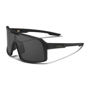 Gafas de Sol Wind Black / Black D.Franklin