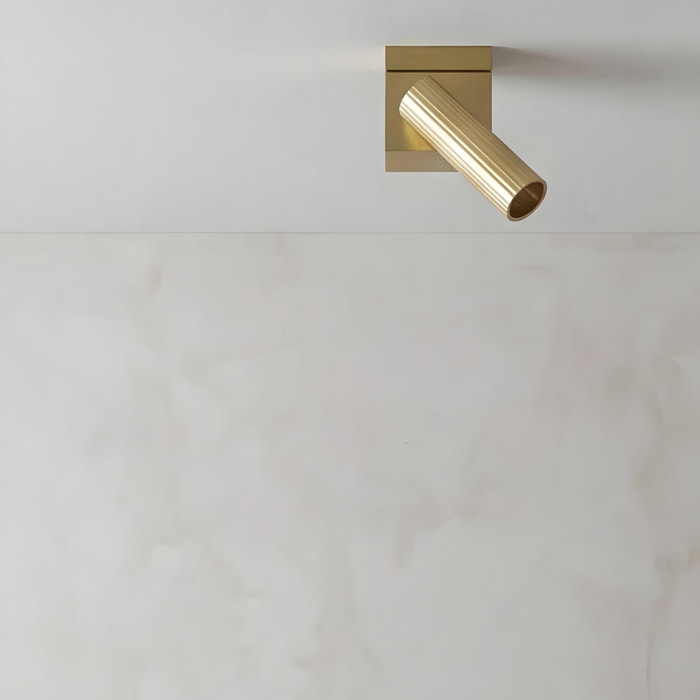 Ledsc4 - Proyector Prolix Single Aluminio, PMMA Oro mate, Transparente