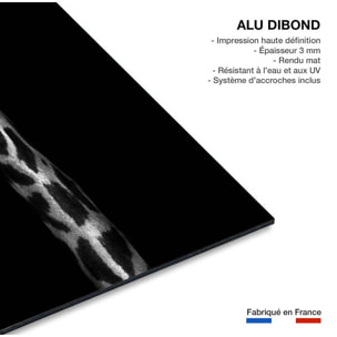 Tableau girafe haute en portrait Tableau alu Dibond