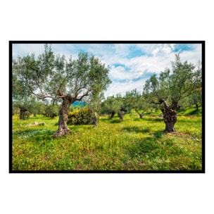 Affiche encadrée – Oliveraie lumineuse Affiche + cadre en métal - Noir