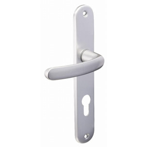 Ensemble de porte budget BEZAULT entraxe 195 mm Clé i - Argent - 204857