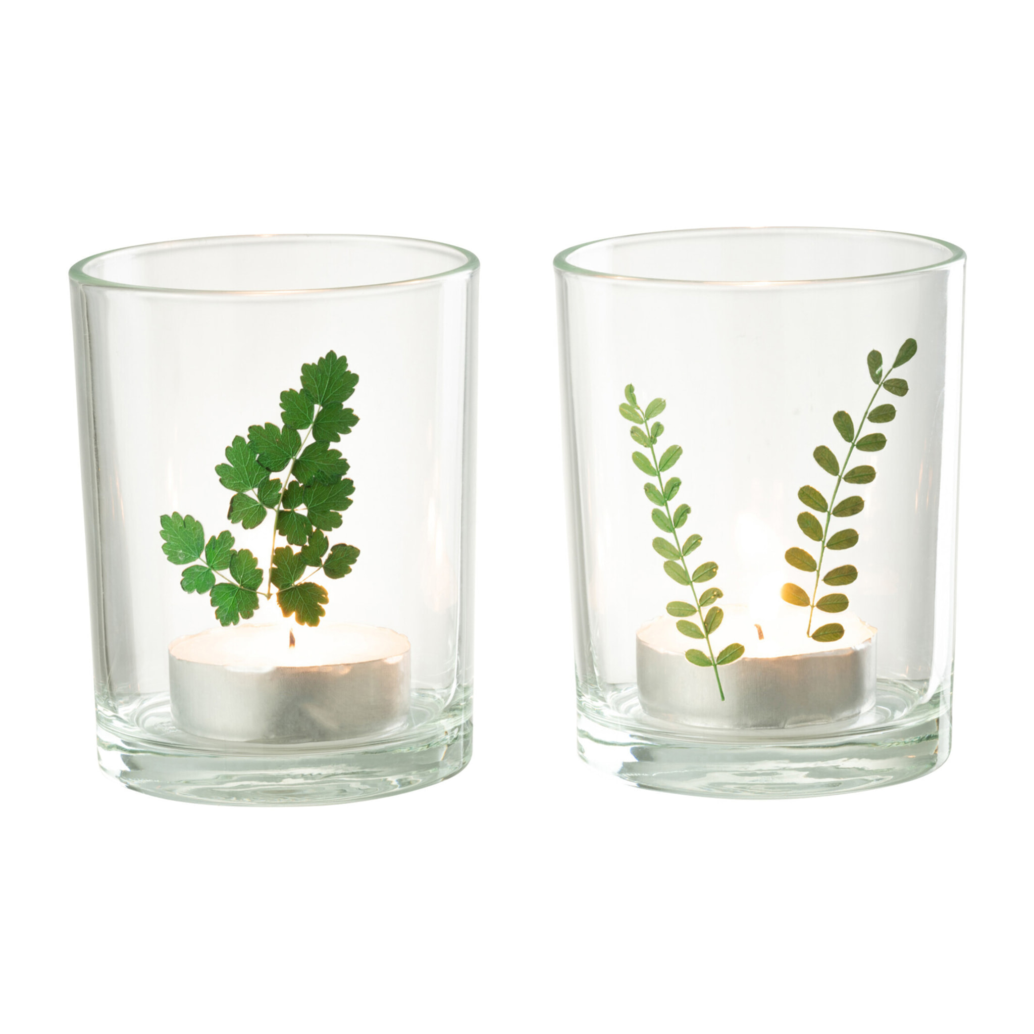 J-Line photophore Feuilles - verre - vert/transparent - 2 pcs