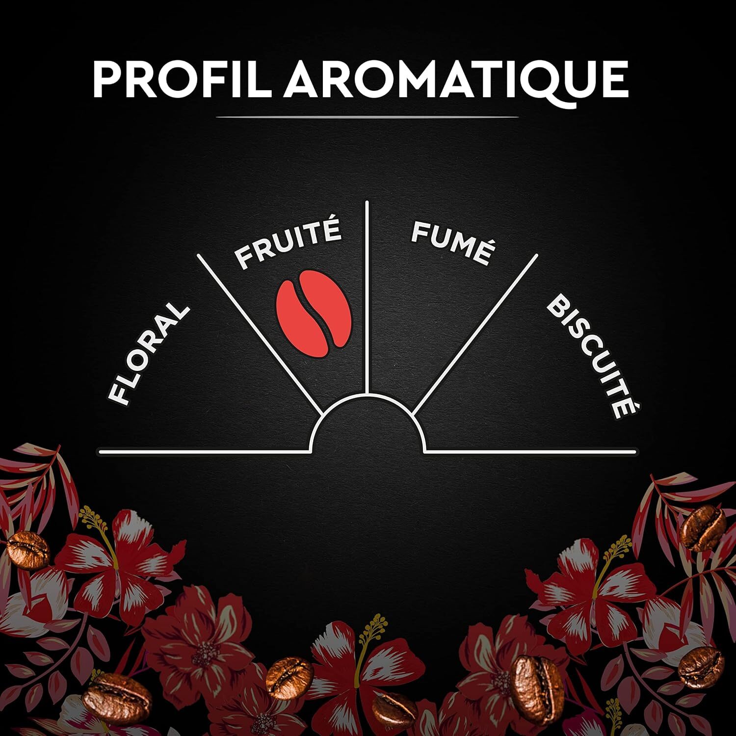 Carte Noire Grains Honduras Bio 500G