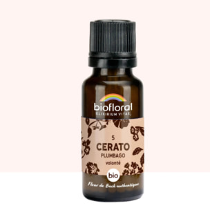 Biofloral - 05 Cerato, Plumbago - Bio - 19,5 gr