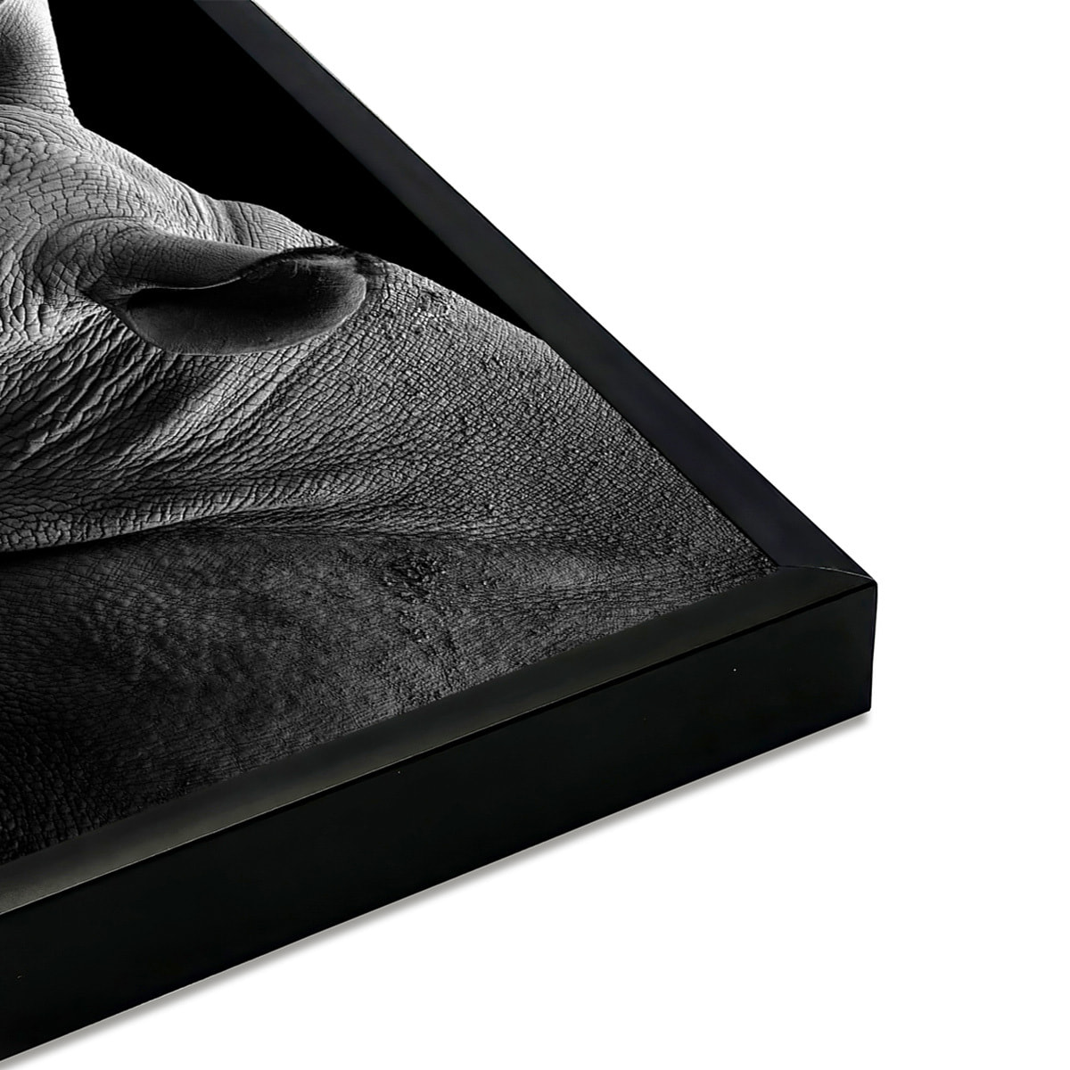 Affiche encadrée rhinocéros de profil en noir et blanc Affiche + cadre en métal - Noir