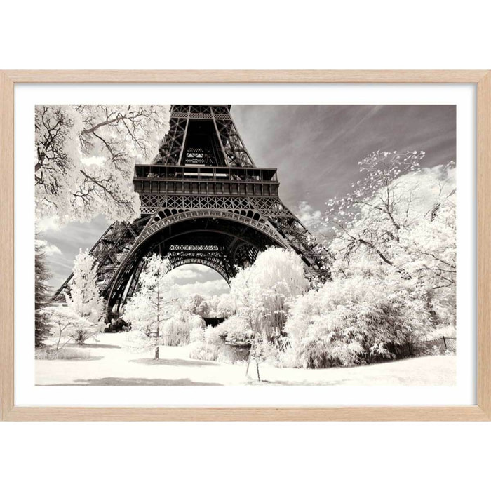 Affiche paris winter white la tour eiffel Affiche + cadre en bois - Chêne