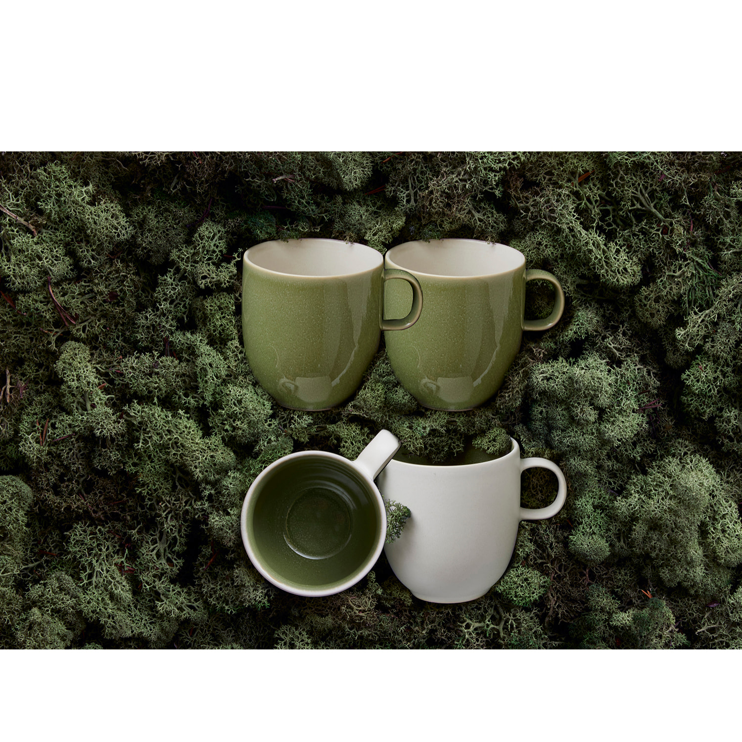 Ensemble de 4 mugs North 33cl