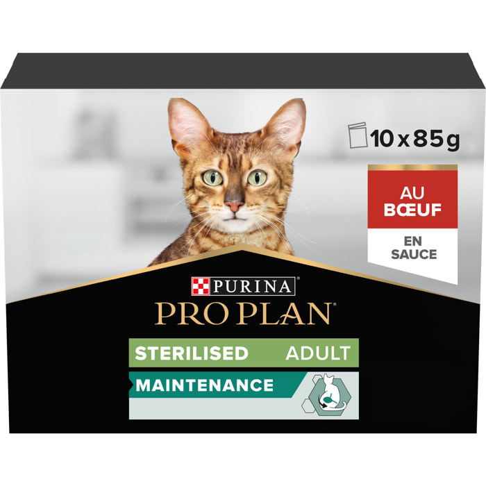 PRO PLAN Adult STERILISED MAINTENANCE Boeuf Sauce 10x85g