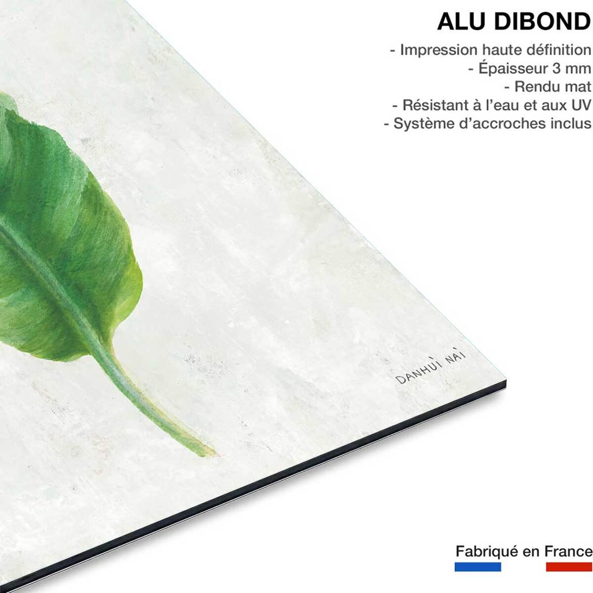 Tableau Feuille de bananier illustrée Tableau alu Dibond