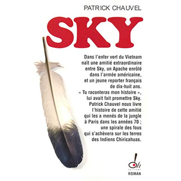 Chauvel, Patrick | Sky | Livre d'occasion