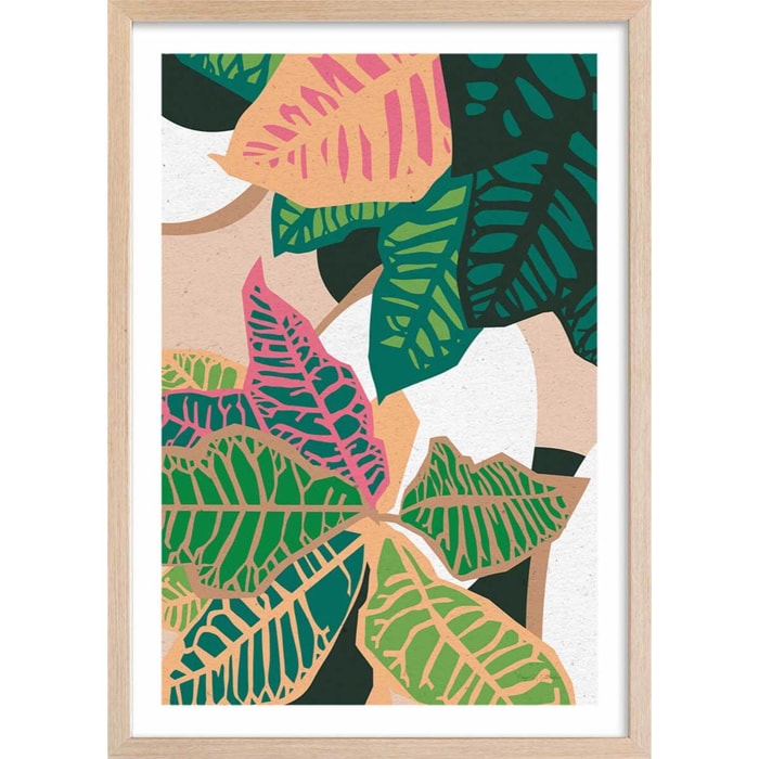 Poster colorful plants Affiche + cadre en bois - Chêne