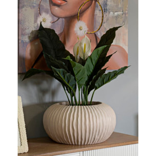 VASO MIST CM Ø 35X18