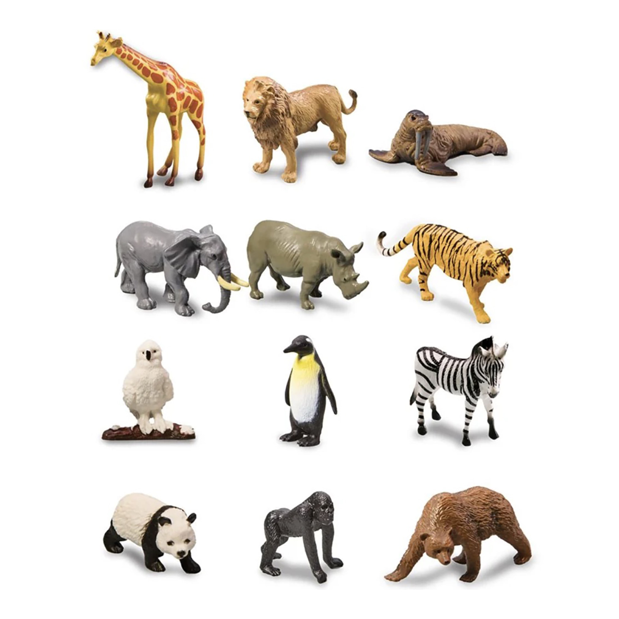 Kit di Scavo Animali Selvatici