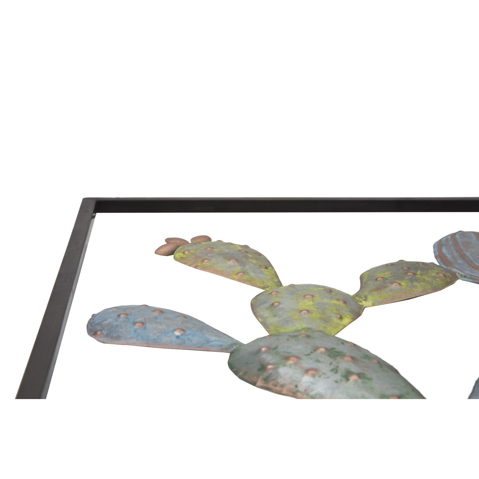 PANNELO IN FERRO CACTUS-FRAME -C- CM 50X1,3X50