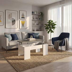 Mesa de centro elevable con almacenaje en blanco artick y gris cemento 100x45-56 cm Vita Blanco Artik (Blanco Mate) - Gris Cemento