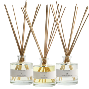 Set de 3 difusores mikado de 100ml aromas a stone-white lotus-light peach scalpers