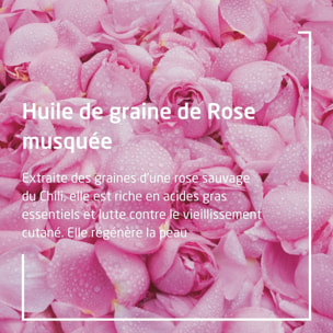 WELEDA - Huile harmonisante à la Rose musquée - 100 ml