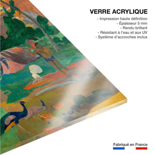 Tableau matamoe de paul gauguin  Tableau plexiglas
