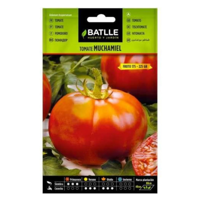 Semillas de Tomate Muchamiel Batlle