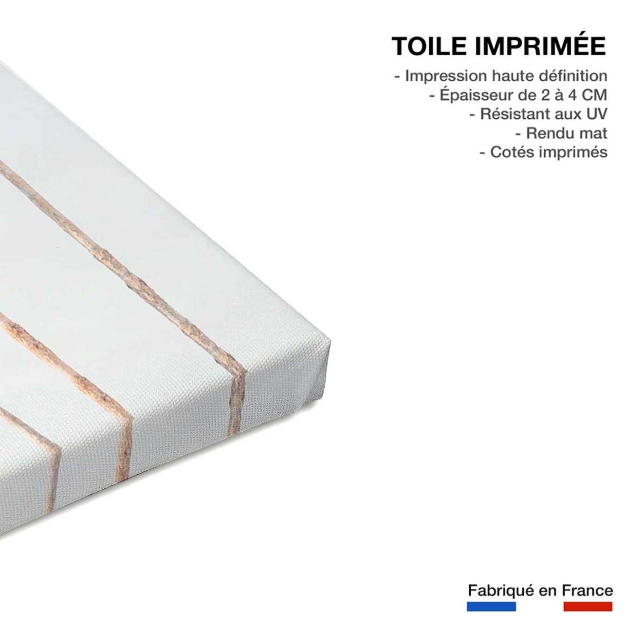 Tableau palmier aloha palmier  Toile imprimée