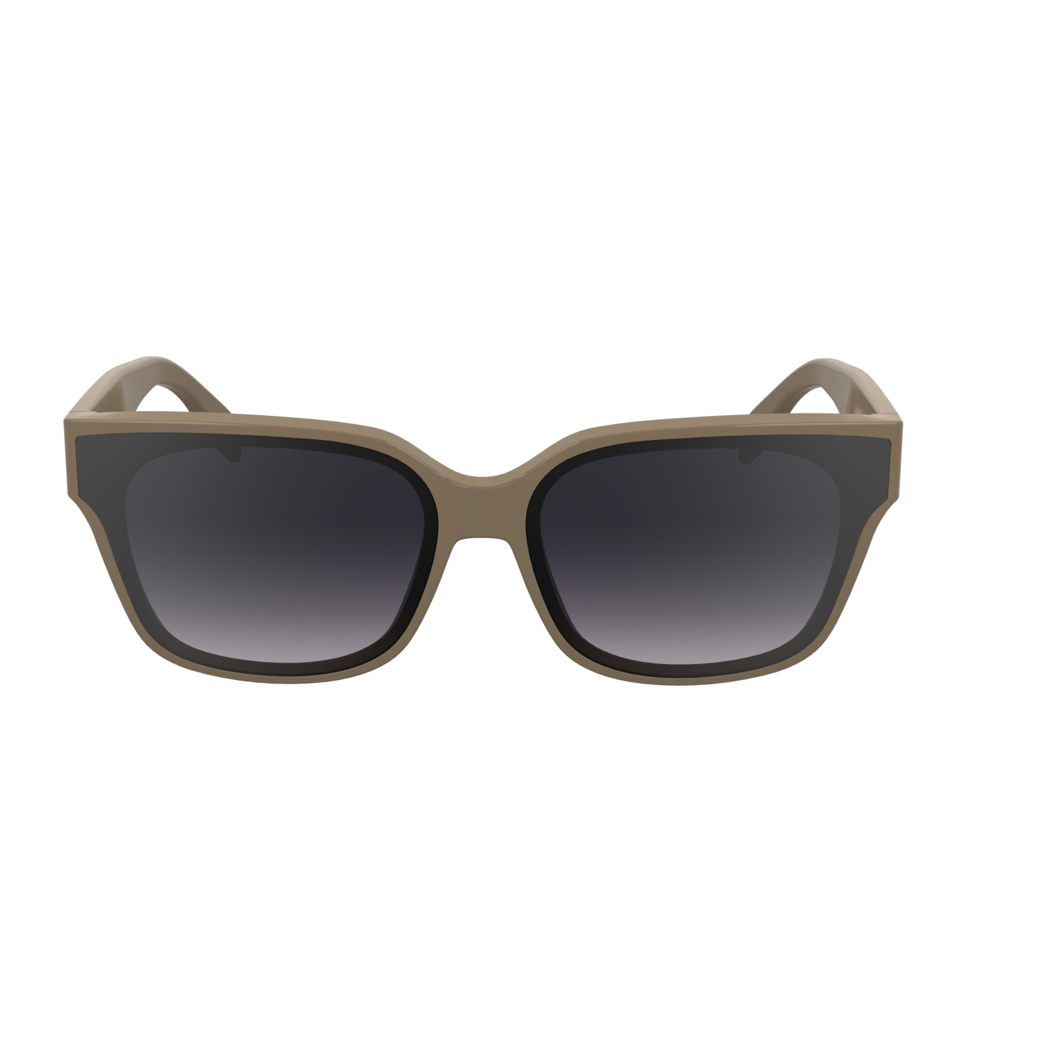 Gafas de sol Karl Lagerfeld Mujer KL6161S-272
